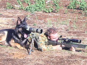 AussieSniperDog-300x225.jpg