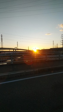 DSC_0595a.jpg