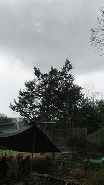 DSC_0751a.jpg
