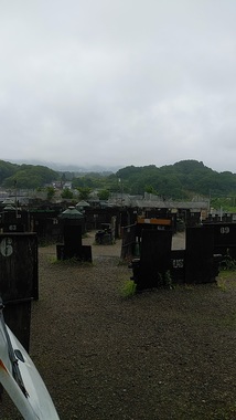 DSC_0894a.jpg