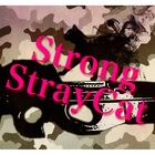 S2C(Strong StrayCat)