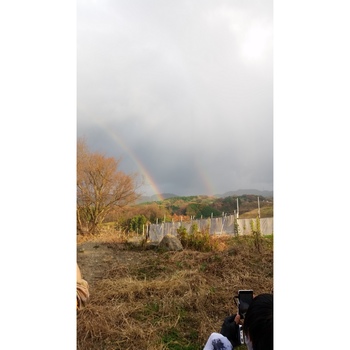 戦場にかける虹