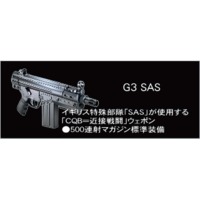 G3_SAS.gif